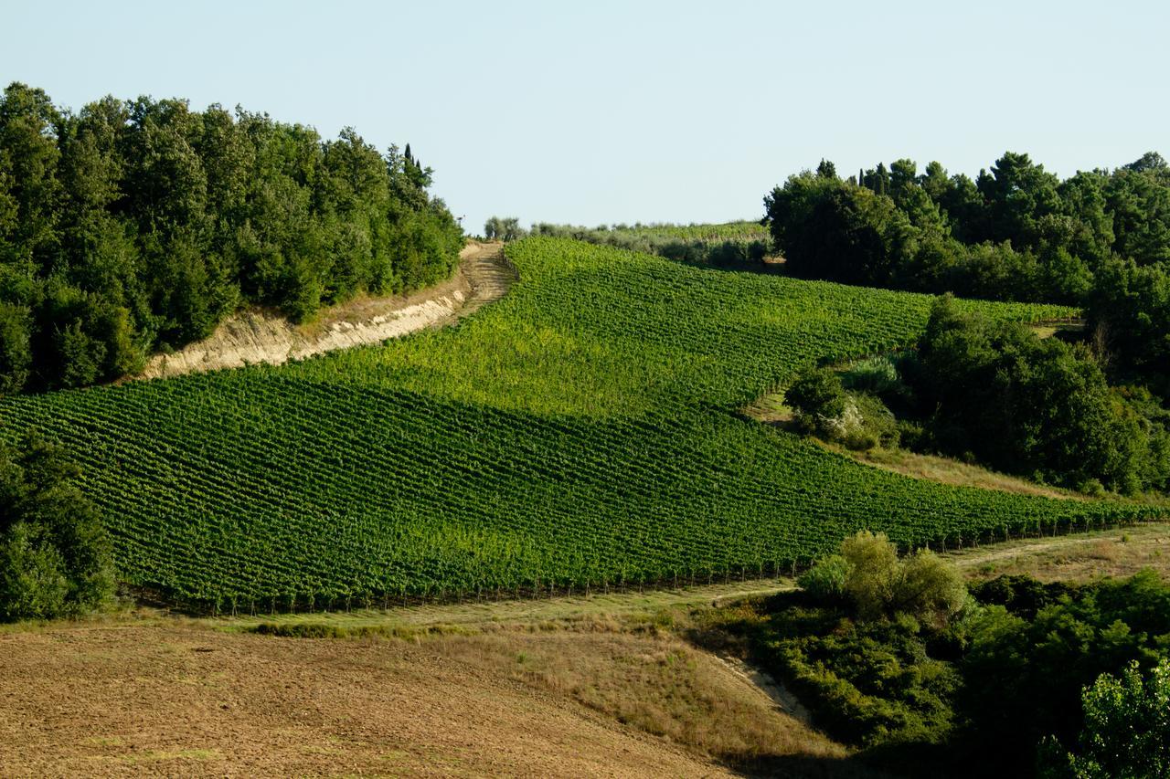Fattoria Fibbiano Villa Terricciola Luaran gambar